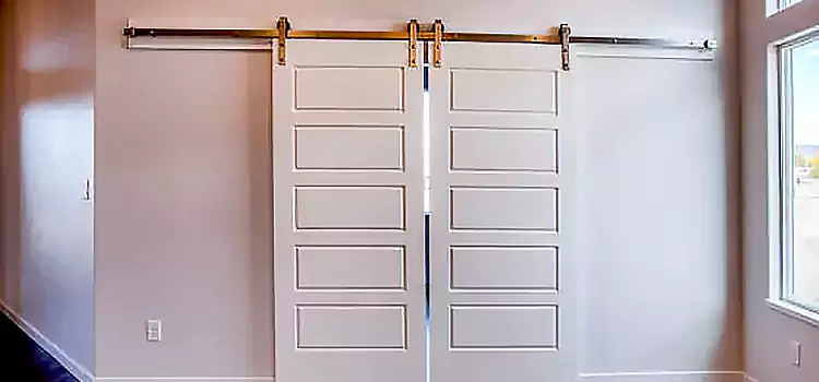 Glass Barn Door with Installation Hardware Kit Pearland