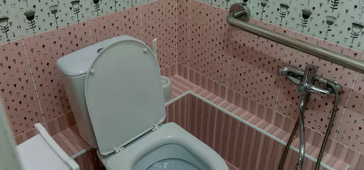 Meeting Diverse Needs With Accessible Restroom Solutions in Pearland, TX