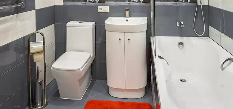 Hansgrohe Shaving Mirror Pearland